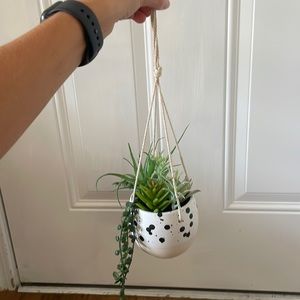 hanging fake plant